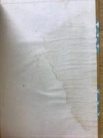 春の原始林