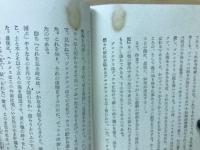 世界の神話