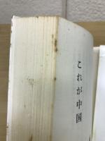 これが中国