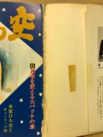 俺の空 8 運命を変える大バクチの章