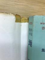 集約学習　地理