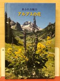 あふれる魅力　アルプスの花