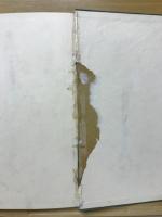 濃飛偉人伝