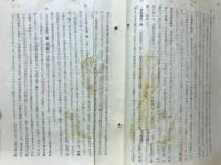 中国の社会主義文化大革命