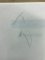教学の基礎