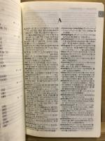 同学社版新修ドイツ語辞典
