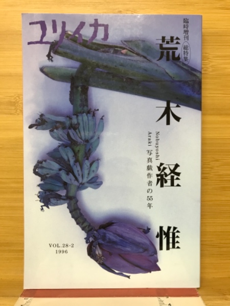 荒木経惟 : 写真戯作者の55年 : 総特集 荒木経惟 : 写真戯作者の55年 : 総特集