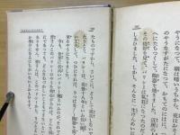 せかいの優れた少年少女の話