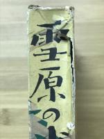 雪原の少年