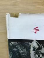 手品