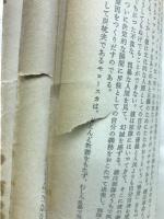 ロシヤ文学思潮