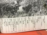 荒木経惟・末井昭の複写『写真時代』 : 疾風怒濤の1981～1988