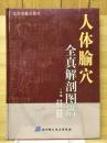 人体腧穴全真解剖图谱