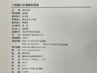 人体腧穴全真解剖图谱