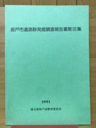 坂戸市遺跡群発掘調査報告書