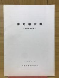 岸町横穴群　発掘調査外報