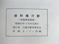 岸町横穴群　発掘調査外報