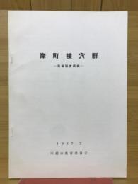 岸町横穴群 : 発掘調査概報