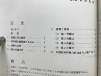 岸町横穴群 : 発掘調査概報