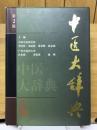 中医大辞典