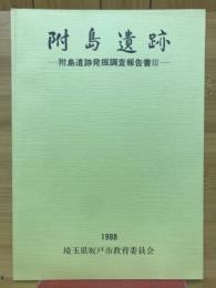 附島遺跡 : 附島遺跡発掘調査報告書