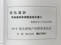 附島遺跡 : 附島遺跡発掘調査報告書