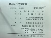 燃えろ!ドラゴンズ