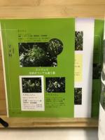 飛騨の樹木　飛騨の植物を見続けて