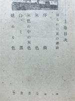 焔と色 : ヴァン・ゴッホの生涯