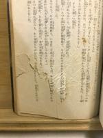 東京空爆 : 軍人小説集 [他九篇]