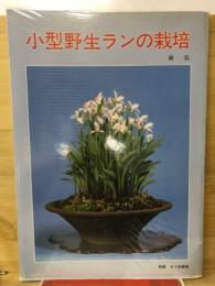 小型野生ランの栽培