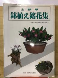 山野草鉢植え銘花集