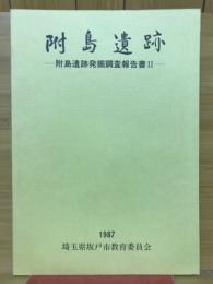 附島遺跡 : 附島遺跡発掘調査報告書