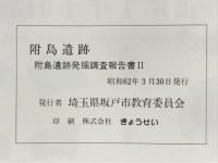 附島遺跡 : 附島遺跡発掘調査報告書