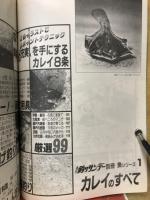 週刊釣りサンデー別冊　カレイのすべて