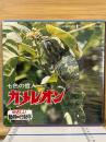 カメレオン　やさしい動物の行動学　8ミリ映画　8ミリフィルム