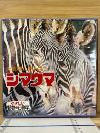 シマウマ　やさしい動物の行動学　8ミリ映画　8ミリフィルム