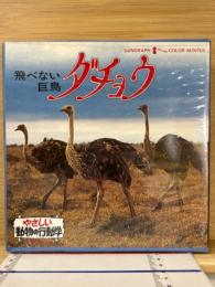ダチョウ　やさしい動物の行動学　8ミリ映画　8ミリフィルム