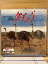 ダチョウ　やさしい動物の行動学　8ミリ映画　8ミリフィルム