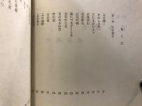 日を透る　詩集
