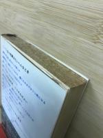 商店経営に強くなる事典 : ビッグストアへの成功秘訣