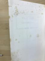 タレント入門　文潮新書
