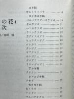 カラー 樹の花