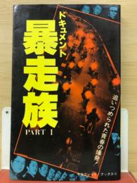 ドキュメント暴走族　PART1　青春を行動する俺たちの叫び!（追いつめられた青春の爆発!）