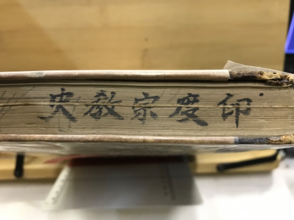 印度宗教史(姉崎正治著 ; 井上哲次郎閲) / 古本、中古本、古書籍の通販