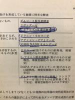 発生の生物学 : 発生の細胞的、分子的基礎