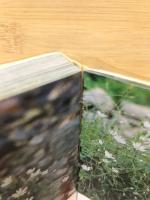 380色別高山植物ポケット ＜別冊趣味の山野草＞
