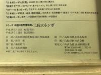 土佐のトンボ