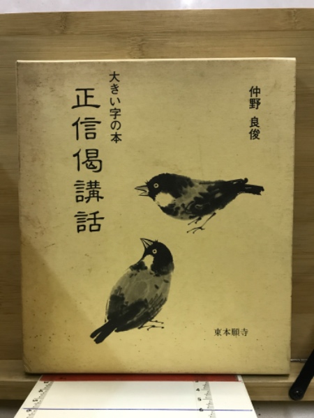 レッドホーク 古代ロボゴダイガー アオシマ・コミックス (今道