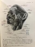 日本人体解剖学